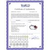 Image 2 : Genuine 0.83 ctw Garnet & Diamond Ring 14KT White Gold - REF-40K5V