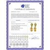Image 2 : Genuine 14.3 ctw Citrine & Peridot Earrings 14KT Yellow Gold - REF-82A9K