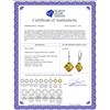 Image 2 : Genuine 17.5 ctw Citrine Earrings 14KT White Gold - REF-39P3H