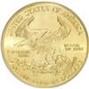 Image 2 : 2001 G$25 Half-Ounce Gold Eagle MS70 ICG