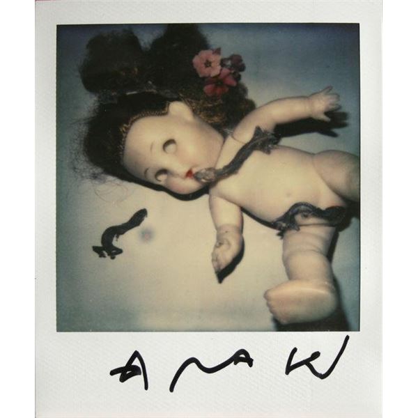 Nobuyoshi Araki - Still Life