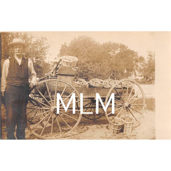 Peach Salesman Delivery Wagon Farming Photo Postcard