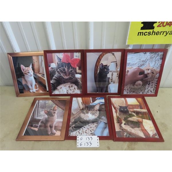 7 Framed Kitty Pictures