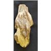 Image 2 : PIECE OF PETRIFIED WOOD