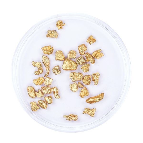 Lot of Gold Nuggets 3.00 Grams Total Weight