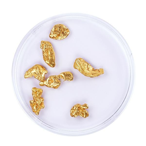 Lot of Gold Nuggets 3.74 grams Total Weight