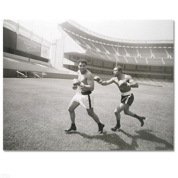 "Norton Chasing Ali" Photograph