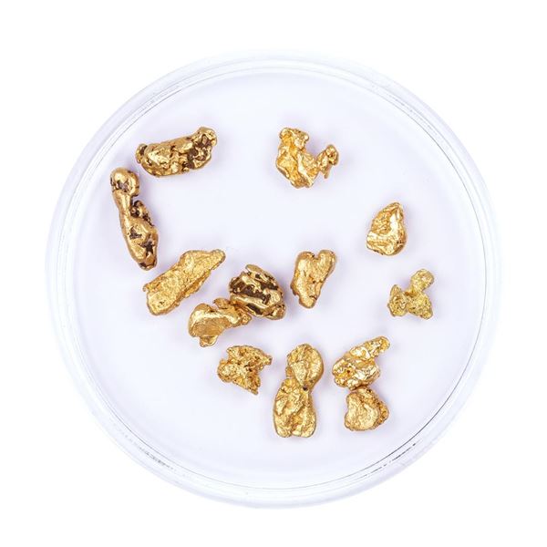 Lot of Gold Nuggets 4.00 Grams Total Weight
