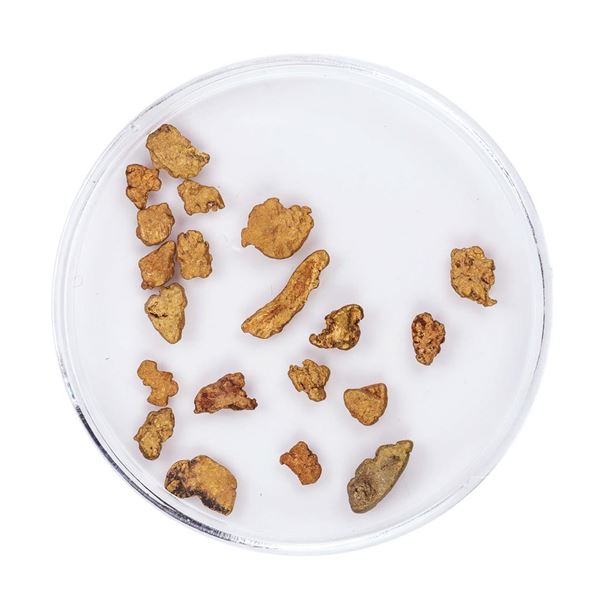 Lot of Gold Nuggets 2.82 Grams Total Weight