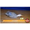 Image 1 : Nature's Window Hen Mallard Decoration (Limited Edition 446/2500) Signed by Artist : Roger Desjardin