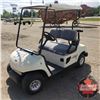 Image 1 : 2006 FYM Motobishi Electric Golf Cart (w/Charger) (Runs & Drives - Good Batteries, Steering Issues)