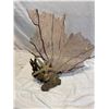 Image 1 : Ocean decor
