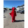 Image 1 : Costume