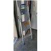 Image 1 : 2 step painter's ladder