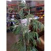 Image 2 : ARTIFICIAL BAMBOO PLANT