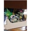 Image 2 : 2 boxes of aquarium decor and supplies