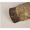 Image 3 : A PLAINS BONE HIDE SCRAPER c. 18