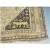 Image 2 : SHIRAZ CARPET 6'7"x10'5" early 20th centur