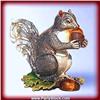 Image 1 : Squirrel Box Swarovski Crystals Jewelry Trinket Keepsake