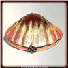 Image 1 : Pink Seashell PICTURE FRAME PHOTO Swarovski Crystals GOLD
