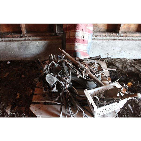 Horse related items (everything on pallet)