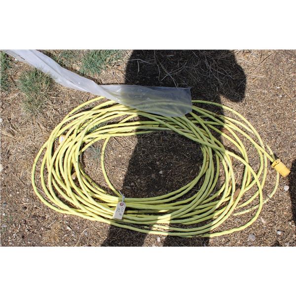 Extension cord Approx 30'