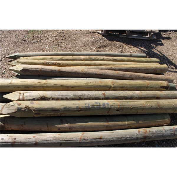 Treated fence posts 6' (14)