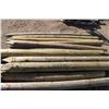 Image 1 : Treated fence posts 6' (14)
