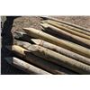 Image 3 : Treated fence posts 6' (14)