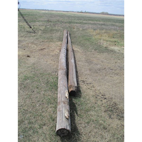 Power Poles 30', 25' (2)