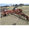 Image 2 : IHC cultivator 14'