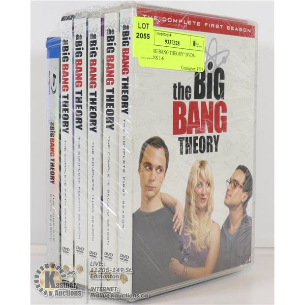 "THE BIG BANG THEORY" DVDS- SEASONS 1-6