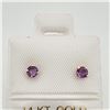 Image 1 : EC156-23 14K  NATURAL AMETHYST EARRINGS