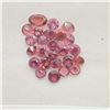 Image 1 : EC156-24  GARNET