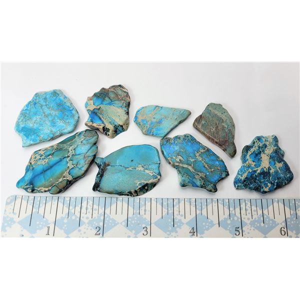 6)  LOT OF 8 TURQUOISE COLORED JASPER
