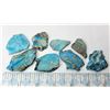 Image 1 : 6)  LOT OF 8 TURQUOISE COLORED JASPER