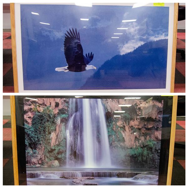 LOT OF TWO LARGE PHOTOS