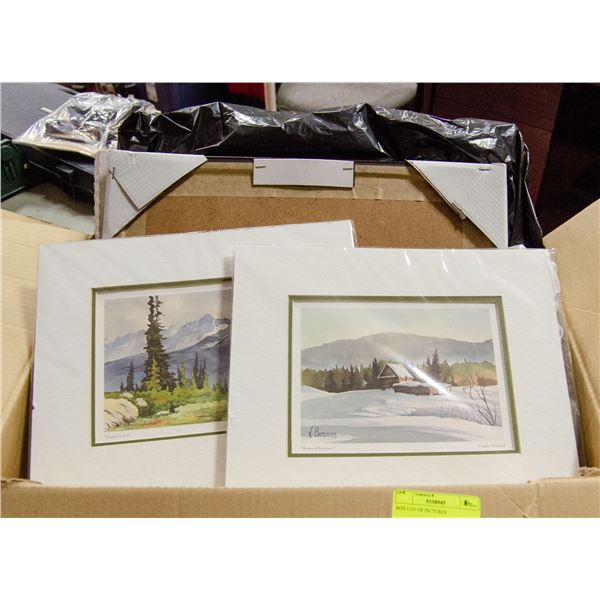 BOX LOT OF PICTURES