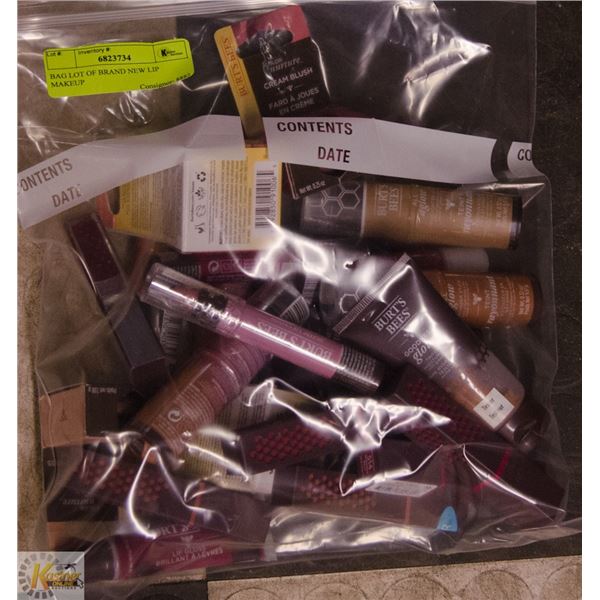 BAG LOT OF BRAND NEW LIP MAKEUP