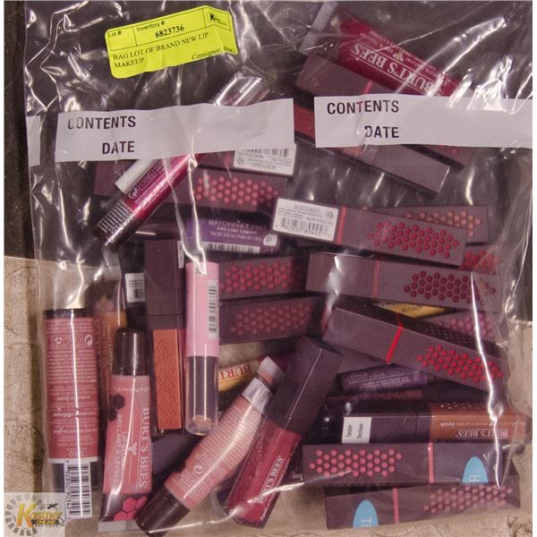 BAG LOT OF BRAND NEW LIP MAKEUP