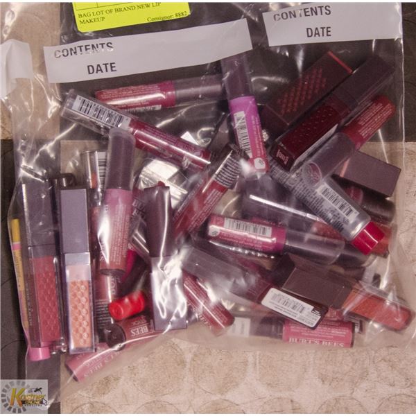BAG LOT OF BRAND NEW LIP MAKEUP