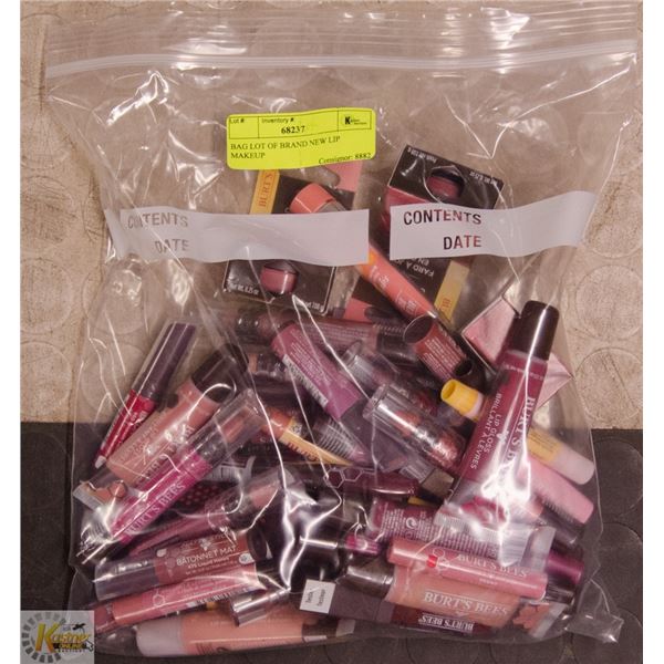 BAG LOT OF BRAND NEW LIP MAKEUP