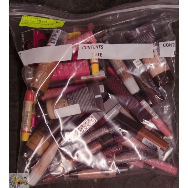 BAG LOT OF BRAND NEW LIP MAKEUP