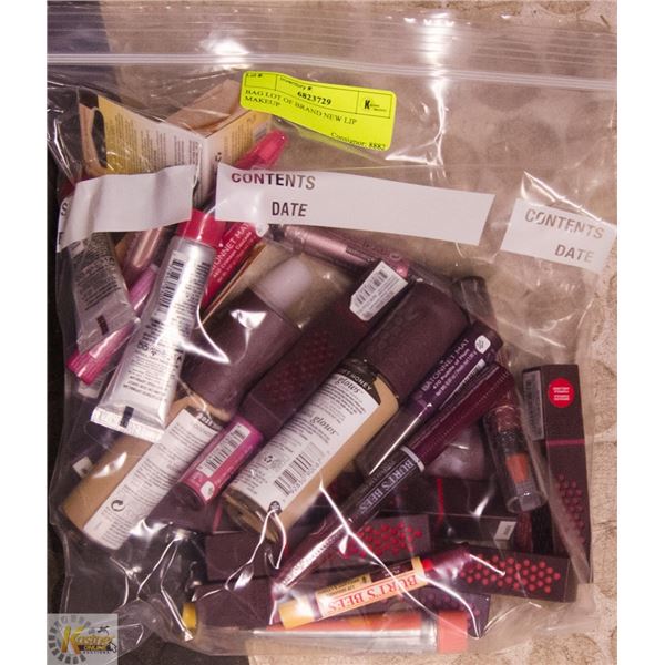 BAG LOT OF BRAND NEW LIP MAKEUP