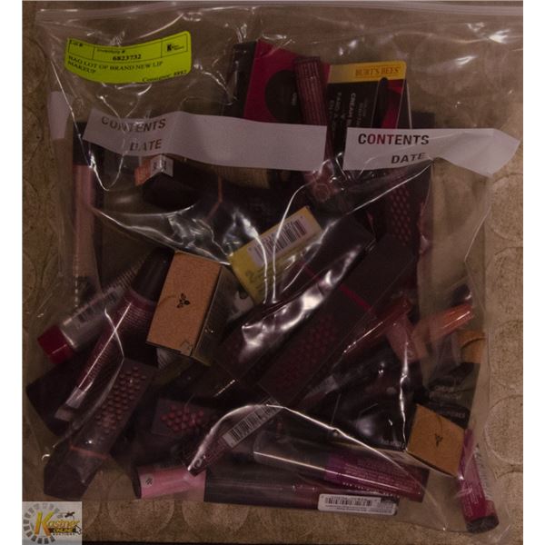 BAG LOT OF BRAND NEW LIP MAKEUP