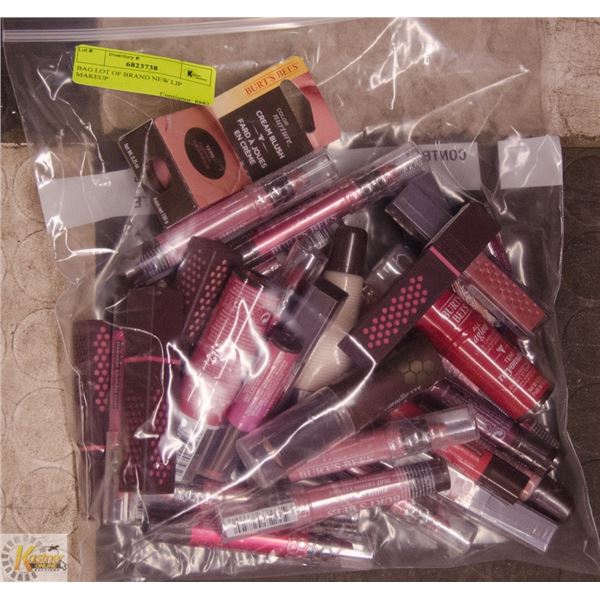 BAG LOT OF BRAND NEW LIP MAKEUP