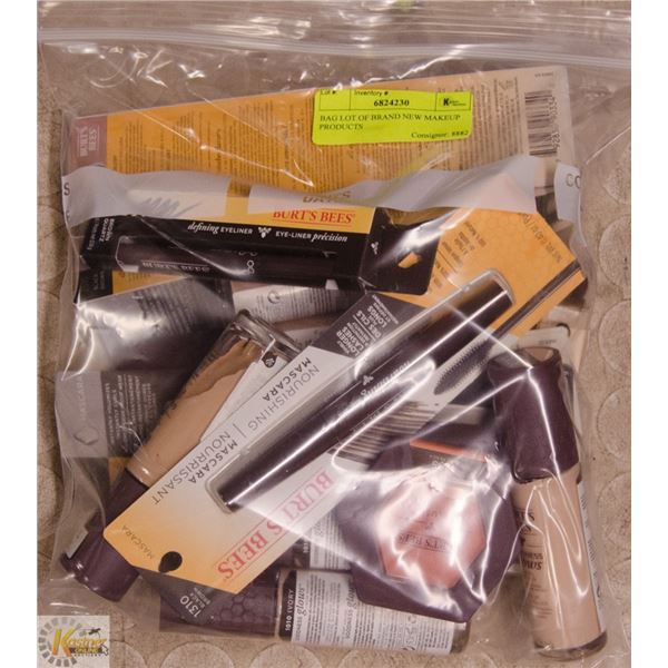 BAG LOT OF BRAND NEW MAKEUP PRODUCTS