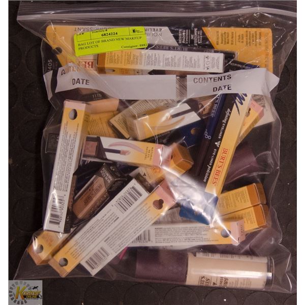 BAG LOT OF BRAND NEW MAKEUP PRODUCTS