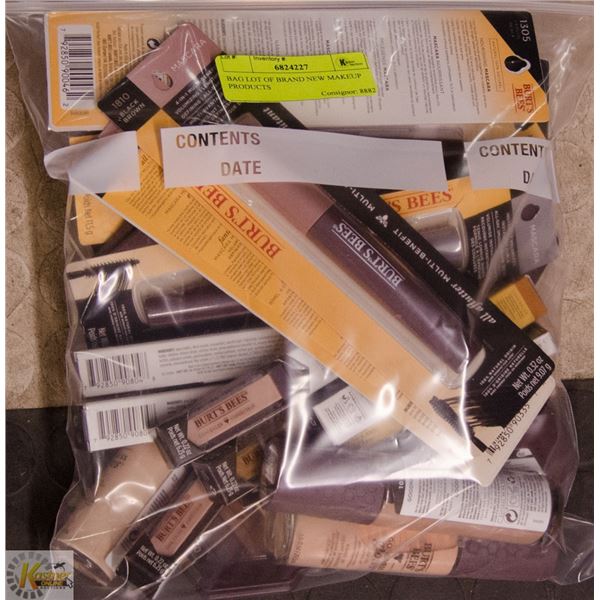 BAG LOT OF BRAND NEW MAKEUP PRODUCTS