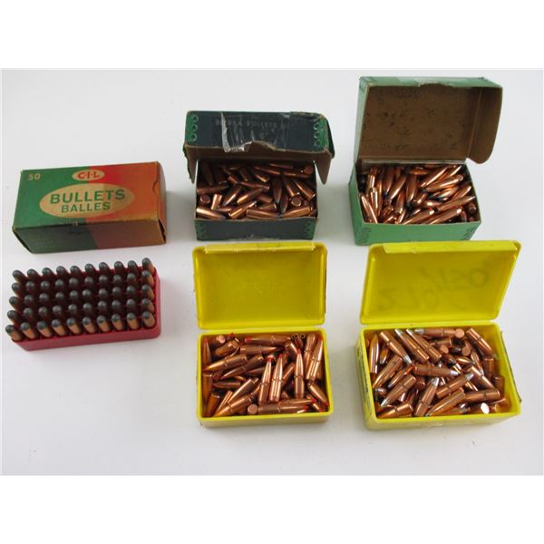 ASSORTED BULLET LOT